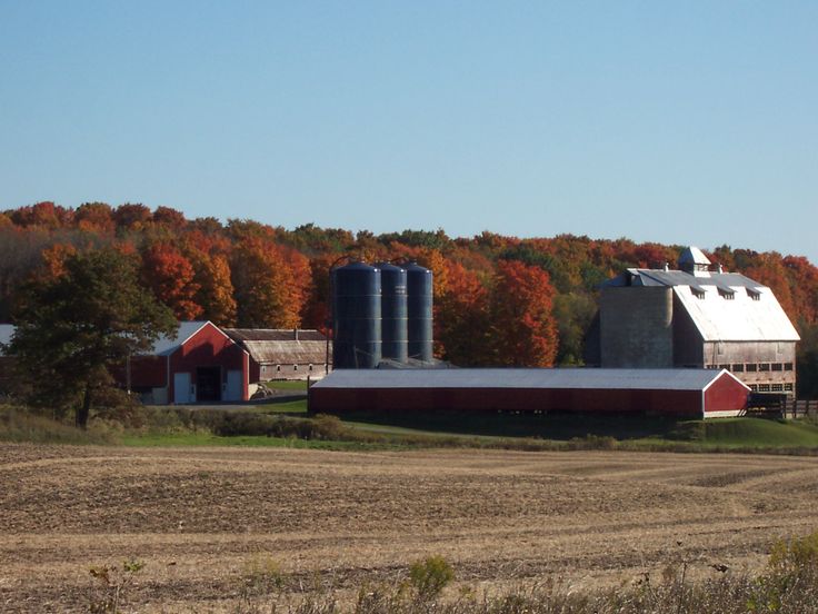 Farm Ports in the UK